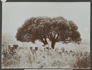 Caravan of porters in steppe landscape, Tanzania