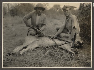 Missionaries Buchta and Stapf with killed lion, Tanzania, ca.1929-1940