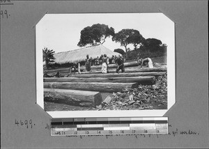 Sawing beams at the joiner's workshop, Mbozi, Tanzania, ca. 1906-1929