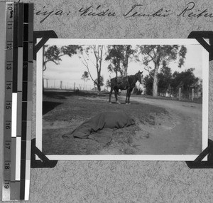 Tired horseman, Baziya, South Africa East