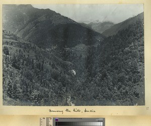 Sach Pass, India, ca.1900