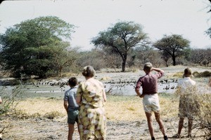 Watching the birds, Waza, Far North Region, Cameroon, 1960-1968