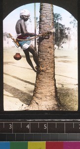 Toddy drawer, Andhra Pradesh, India, s.d