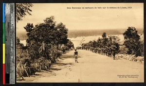 Porters carrying wood, Lisala, Congo, ca.1901