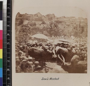 Crowds and livestock, Zoma Market, Madagascar, ca. 1865-1885