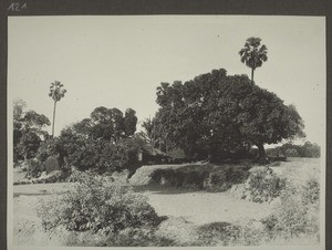 Panchama settlement near Puttur