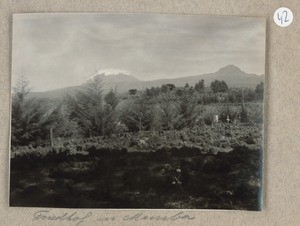 Graveyard in Mamba, Mamba, Tanzania