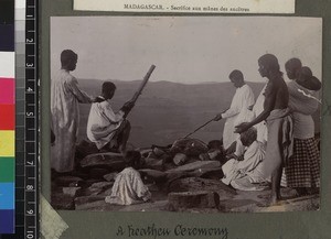 Group performing indigenous religious ceremony, Madagascar, ca. 1890