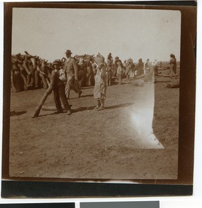 Distribution of wood in the camp near Mafikeng, South Africa, ca.1901-1903