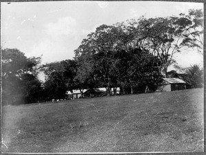 Mission station, Arusha, Tanzania, ca. 1925-1930