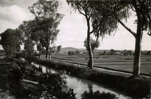 Soanierana canal, in Madagascar