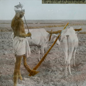 Ploughing of a field