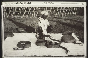 Schlangenbeschwörer (Taschenspieler) S.Ind