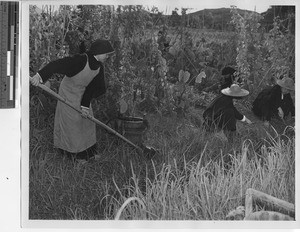 Sisters at work at Jiangmen, China, 1947