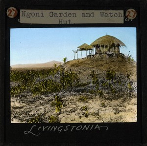 "Ngoni Garden and Watch Hut, Livingstonia", Malawi, ca.1895