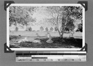 Graveyard, Pella, South Africa, 1934