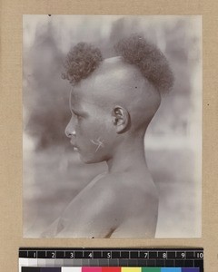 Portrait of boy showing hairstyle, Delena, Papua New Guinea, ca. 1905-1915