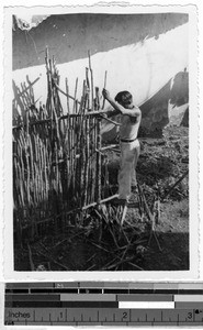 Miguas building a chicken house, Mexico, ca. 1944