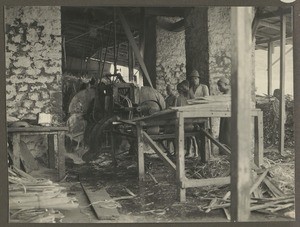 Sisal preparation, Ndungu, Tanzania, ca.1929-1940