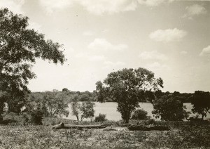 View of a river bank, the Zambezi river is behind trees