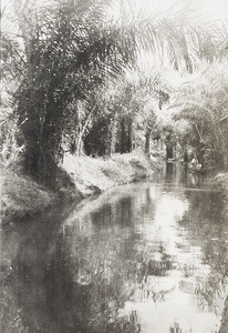 Canal at Itu leper colony, Nigeria, 1943