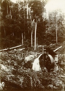 Wheel of the sawmill of Talagouga, in Gabon