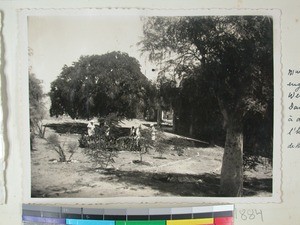 The garden at the west end of the Mission Station, Toliara, Madagascar, 1937