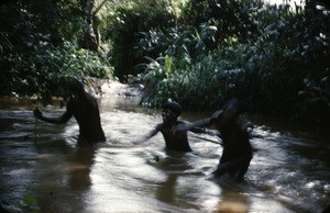 Carriers cooling down, Mbam, Centre Region, Cameroon, 1953-1968