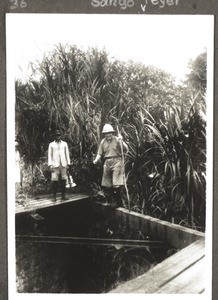 A difficult bridge on the old Kumba road