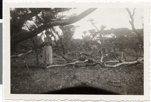 Clearing land, Ethiopia