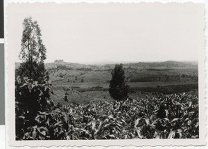 Landscape near Ayra, Ethiopia