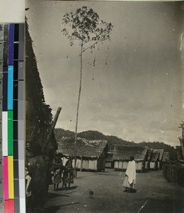 Village with a sacrificial tree, Madagascar