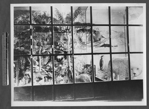 Models of animals in various environments, Jinan, Shandong, China, 1947