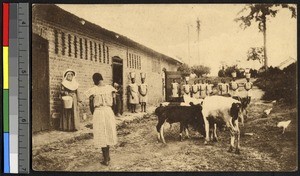 Mission farm, Congo, ca.1920-1940