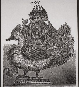 Brahma