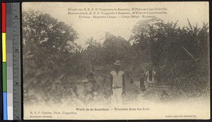 Young men work in the woods, Congo, ca.1920-1940