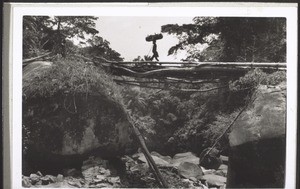 A bridge built of tree trunks in the dry season