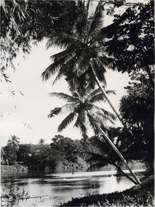 Ivoloina's banks, in Madagascar