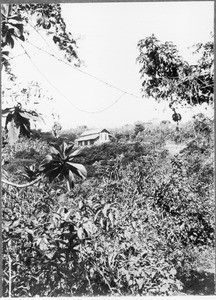 Chapel near Mamba, Tanzania, ca.1901-1910