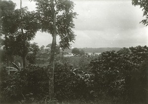 Mission station of Ngomo, in Gabon