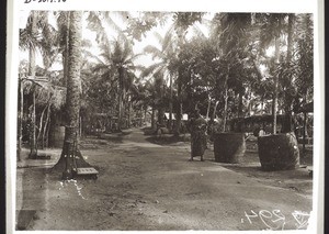 Palm-oil market in Sromanyah