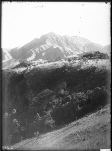 Landscape near Shilouvane, South Africa, ca. 1901-1907