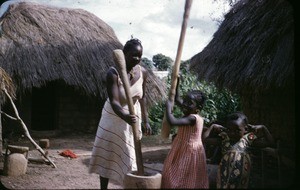 Woman and girls mashing maize, Ngaoundéré, Adamaoua, Cameroon, 1953-1968