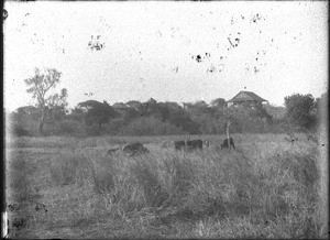 Mission station, Makulane, Mozambique, ca. 1901-1907