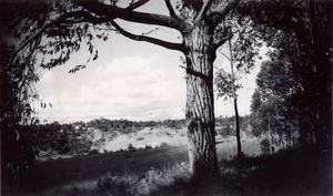 Road to arrive in the leper-house of Manankavaly, in Madagascar