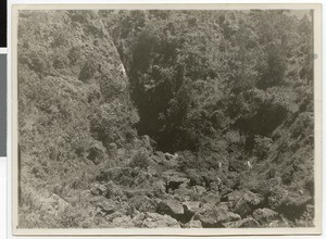 Monkey's Ravine at Mount Entoto, Adis Abeba, Ethiopia