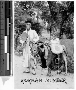 Portrait of a man standing with a burro, Korea, ca. 1920-1940