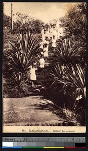 Twelve girls balancing jars on their heads, Madagascar, ca.1900-1930