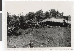 Church of Guduru, Guduru Gute, Ethiopia, ca.1952-1953