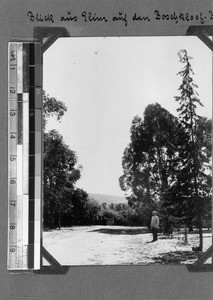 Man standing next to a road, Elim, South Africa